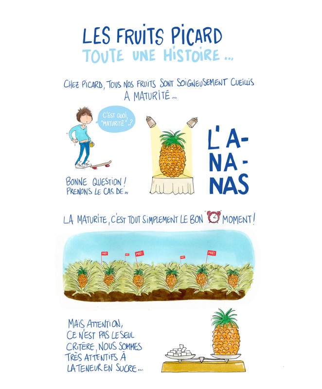 illustration cathy karsenty ananas.jpg - Cathy KARSENTY | Virginie